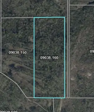 Wooded Recreational Land