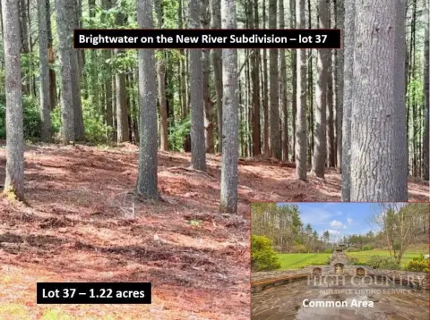 Wooded Homesite with Septic Permit