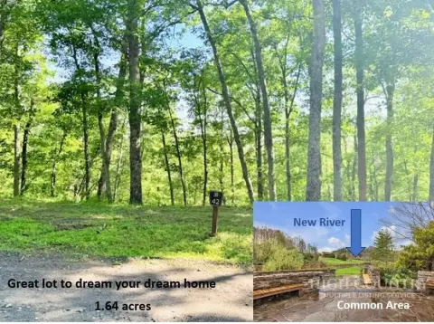 Wooded Homesite with Septic Permit