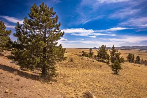 Fairplay Land with Mountain Views