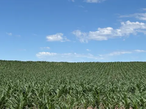 Farmland with Creek and Pond