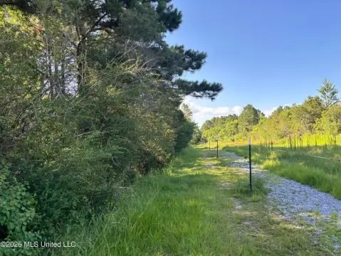 Fenced Hunting Land Tract
