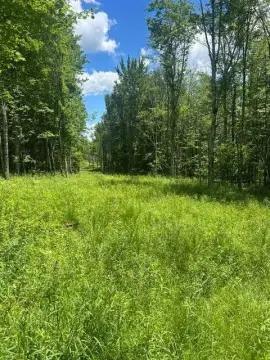 Subdivided Land with Commercial Parcel