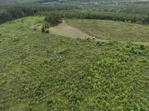 Recreational Hunting Land Tract