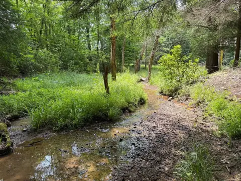 Recreational Hunting Land with Creek