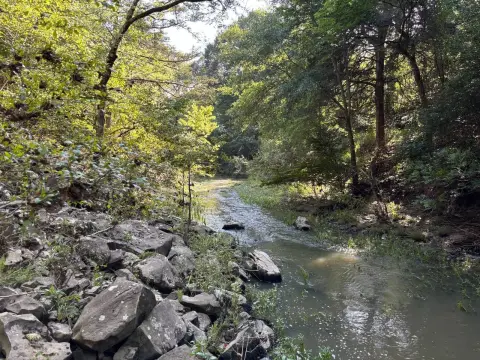 Recreation Hunting Tract with Creek Frontage