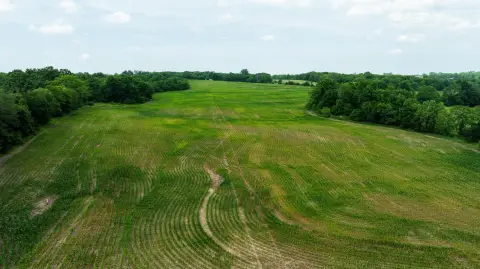 Productive Hunting and Farmland