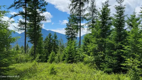 Secluded Wooded Land with Views