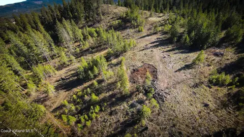 Secluded 5-Acre Residential Land Parcel