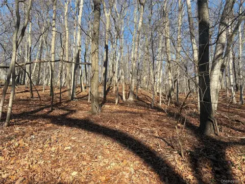 Vacant Land in Miller Place