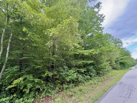 Unrestricted Wooded Land in Dunnville