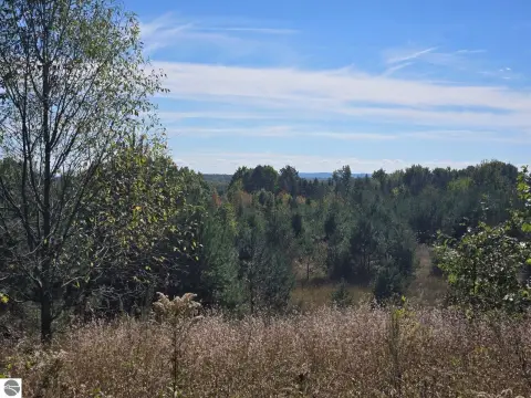 104 Acres of Mixed Woods