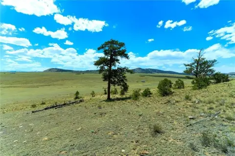 Rural Residential & Hunting Land