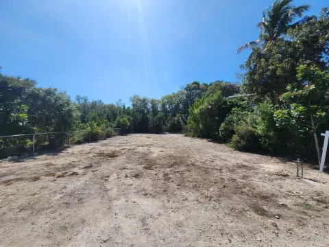 Cleared Land in Key Largo