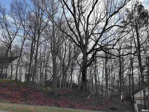 Residential Land in Springfield, IL