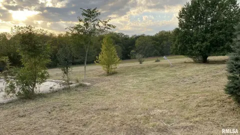 6.19 Acres in Pleasant Plains