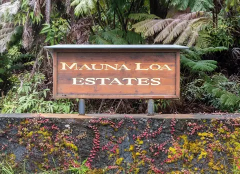 Volcano Land in Mauna Loa