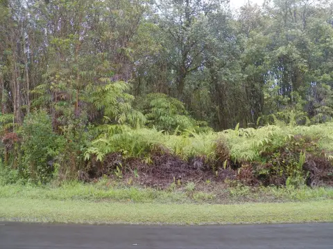 Mountain View Building Lot