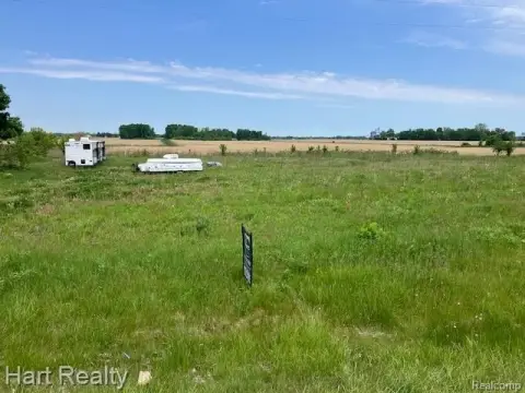 Lamotte Twp Acreage on M-46