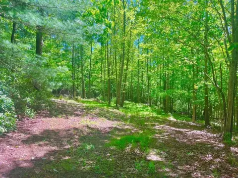 Prime Land in Stuart, VA