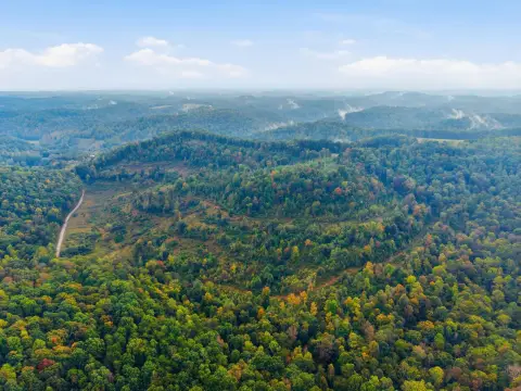 Wooded Hunting Land