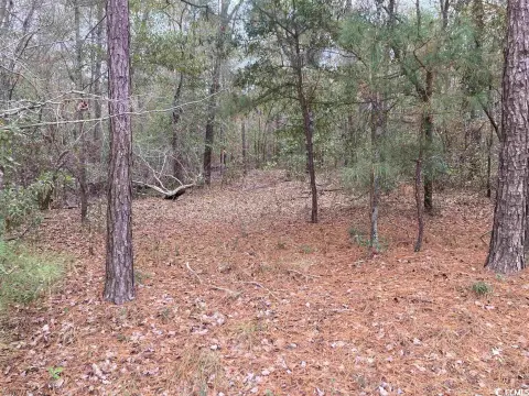 8.15 Acres in Johnsonville, SC