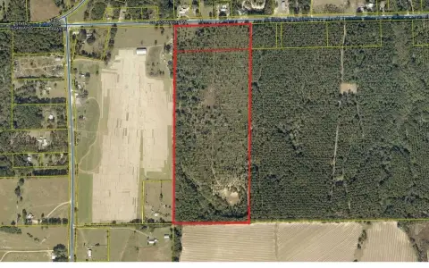 Agricultural Land with Timber