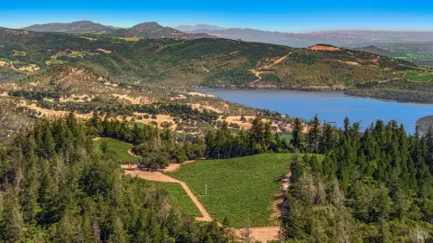High-Elevation Cabernet Vineyard
