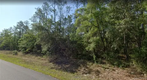 Residential Lot in Citrus Springs