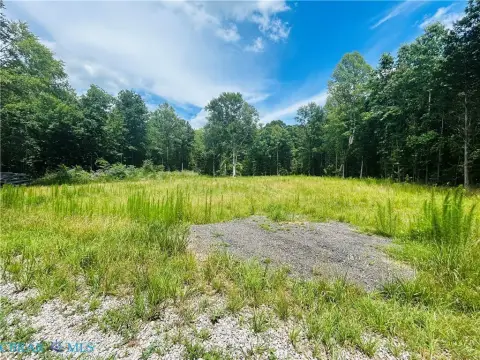 Partially Cleared Home Lot