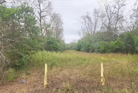 Residential Land in Terrell County