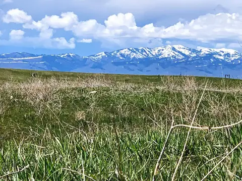 Mountain-View Agricultural Land