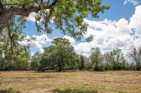Unrestricted 10-Acre Brazoria Land