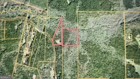 20 Acres in Greenville, GA