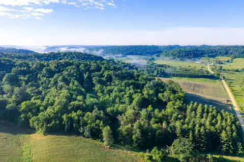 Recreational Hunting Land with Driveway