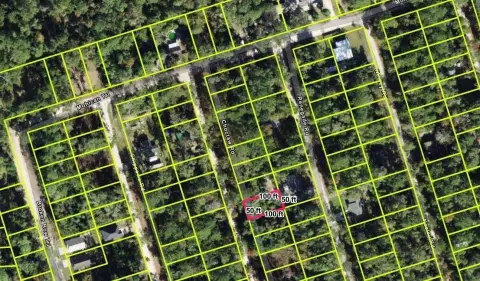Residential Lot in Wakulla Gardens