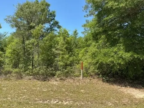 Residential Land in Sunny Hills
