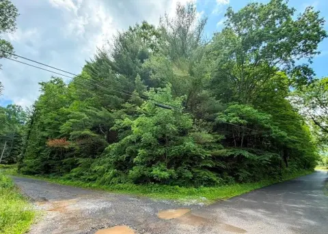 Wooded Lot in Chilhowie, VA