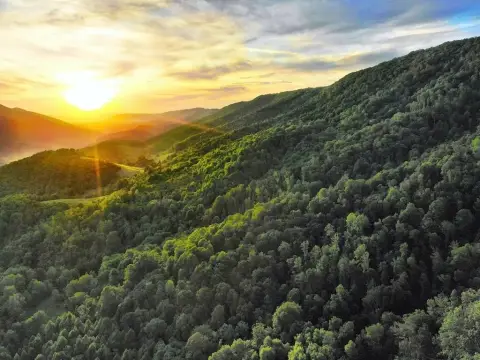 Expansive Acreage in Narrows, Virginia