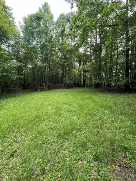 Mountain Land Near Blue Ridge