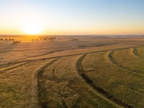 Fully Fenced Ranch & Pasture Land