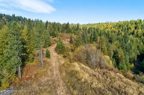 Estate Land with Mature Timber