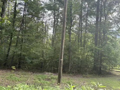 Wooded Jackson Riverfront Land