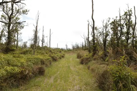 Ready-to-Build Residential Land
