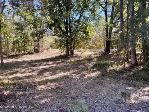 Hunting Land with Creek