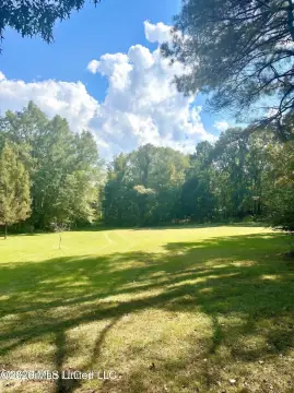 Wooded Hunting Land with Pond