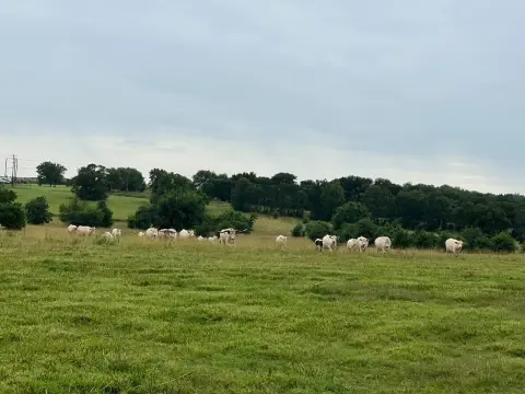 Ranch Land with Two Ponds