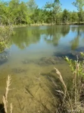 Montgomery Land with Stocked Pond