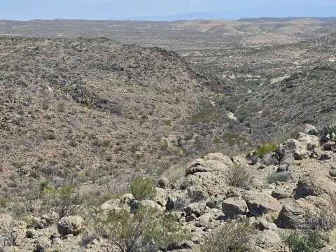 Hunting Land with Mountain Views