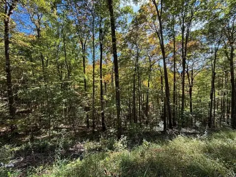 Two Lots Near Lake Nantahala